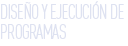 diseño y ejecución de programas